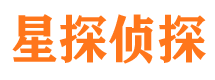 海城私人侦探